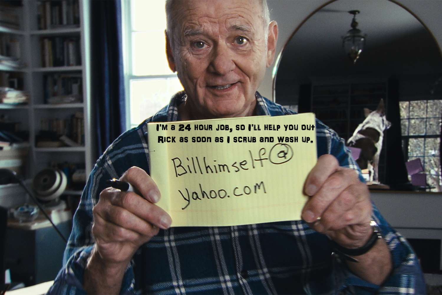 Endorsement by Bill Murray.